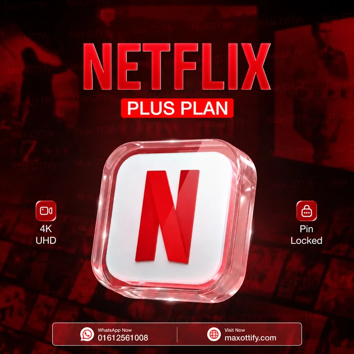Netflix Subscription