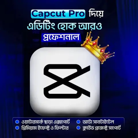CapCut Pro